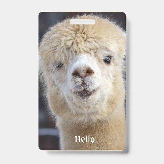 Niedliche Alpaca-Oberfläche Ausweis (Vorderseite)