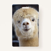 Niedliche Alpaca-Oberfläche Ausweis (Rückseite)