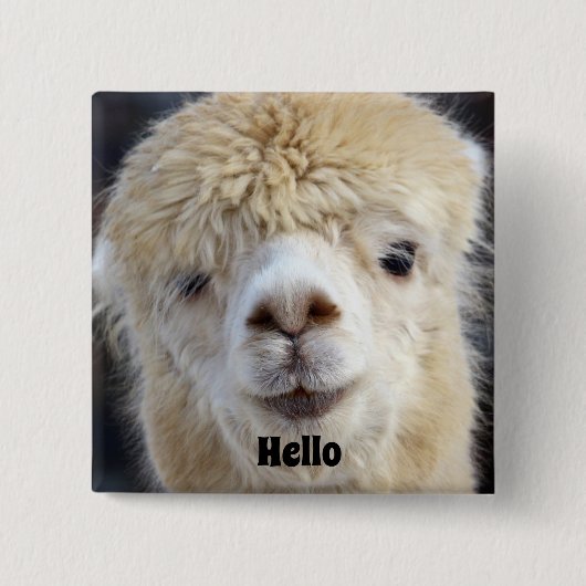 Niedliche Alpaca-Oberfläche Button (Vorderseite)