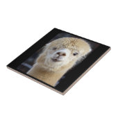 Niedliche Alpaca-Oberfläche Fliese (Seite)