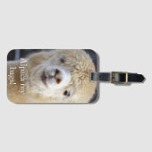 Niedliche Alpaca-Oberfläche Gepäckanhänger (Vorderseite (Horizontal))