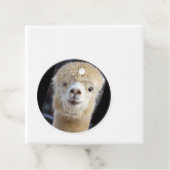 Niedliche Alpaca-Oberfläche Geschenkanhänger (Beispiel)