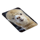 Niedliche Alpaca-Oberfläche Magnet (Rechte Seite)