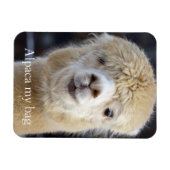 Niedliche Alpaca-Oberfläche Magnet (Horizontal)