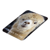 Niedliche Alpaca-Oberfläche Magnet (Linke Seite)