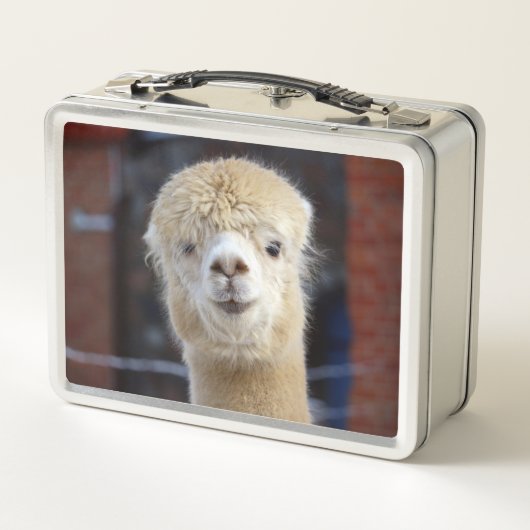 Niedliche Alpaca-Oberfläche Metall Brotdose (Rückseite)