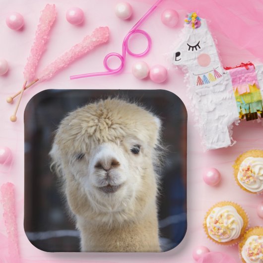 Niedliche Alpaca-Oberfläche Pappteller (Party)
