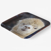 Niedliche Alpaca-Oberfläche Pappteller (Gewinkelt)