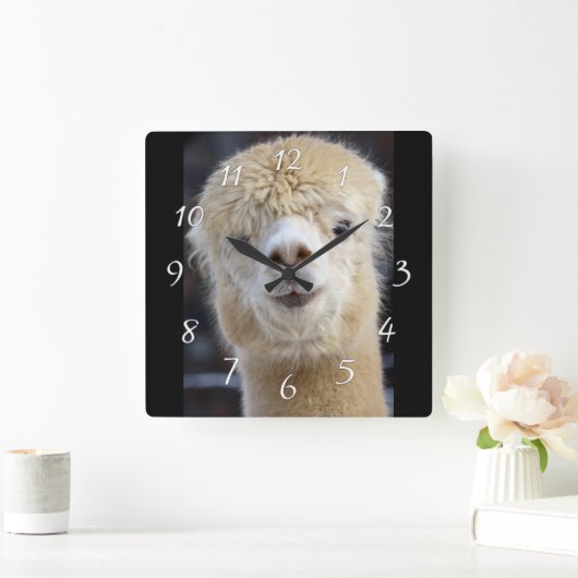 Niedliche Alpaca-Oberfläche Quadratische Wanduhr (Zuhause)