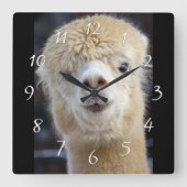 Niedliche Alpaca-Oberfläche Quadratische Wanduhr (Vorderseite)