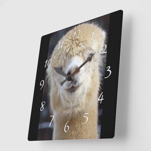 Niedliche Alpaca-Oberfläche Quadratische Wanduhr (Winkel)