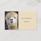 Niedliche Alpaca-Oberfläche Visitenkarte (Rückseite)