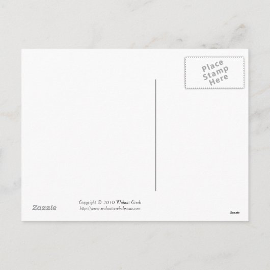 Niedliche Alpaka Baby Valentinstag Postkarte (Rückseite)