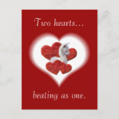 Niedliche Alpaka Baby Valentinstag Postkarte (Vorderseite)