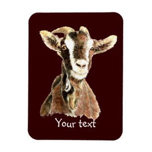 Niedliche alte Ziege, Vieh-Spaß Magnet