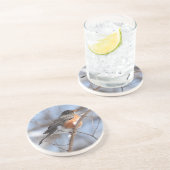 Niedliche amerikanische Robin Sits auf der Snowy B Getränkeuntersetzer (Seite)