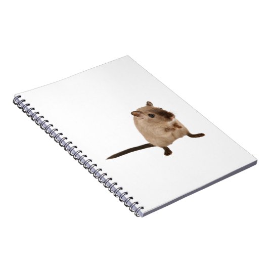 niedliche Ampulle Notizblock (Rechte Seite)