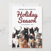 Niedliche Aquarellkatzen Frische Weihnachten (Vorderseite)