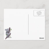 Niedliche australische Koala-Bärn-Postkarte Postkarte (Rückseite)