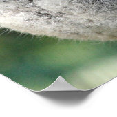 Niedliche australische Koala Poster (Ecke)