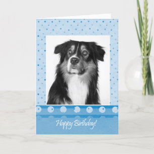Niedliche Australische Schäferhund Happy Birthday  Karte