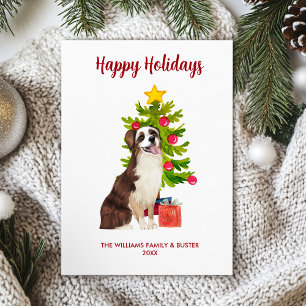 Niedliche Australische Schäferhunde Weihnachten