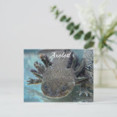 Niedliche Axolotl Postkarte (Stehend Vorderseite)