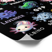 Niedliche Axolotls der Welt Kawaii Axolotl Niedlic Poster (Ecke)