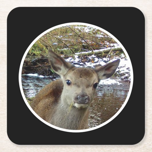Niedliche Baby-Deer-Posen für den Untersetzer Came (Vorderseite)