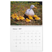 Niedliche Baby Ducks 2025 Wall Calendar Kalender (Feb 2027)