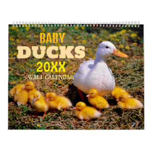 Niedliche Baby Ducks 2025 Wall Calendar Kalender