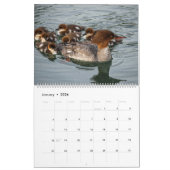 Niedliche Baby Ducks 2025 Wall Calendar Kalender (Jan 2026)