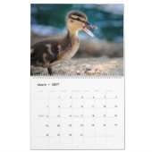 Niedliche Baby Ducks 2025 Wall Calendar Kalender (Mär 2027)