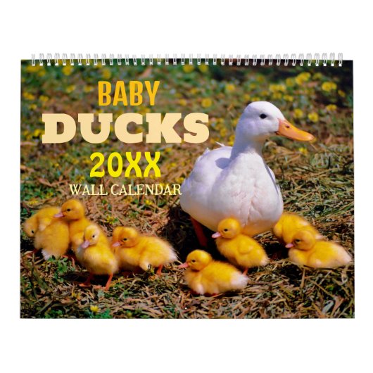Niedliche Baby Ducks 2025 Wall Calendar Kalender (Titelbild)