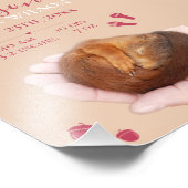 Niedliche Baby Eichhörnchenankündigung Baby Girl B Fotodruck (Ecke)