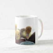 Niedliche Baby-Enten Kaffeetasse (VorderseiteRechts)