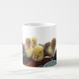 Niedliche Baby-Enten Kaffeetasse