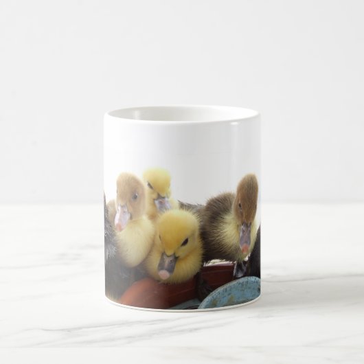 Niedliche Baby-Enten Kaffeetasse (Mittel)