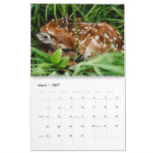 Niedliche Baby-Tiere Kalender (Mär 2027)
