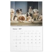 Niedliche Baby-Tiere Kalender (Feb 2027)