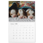 Niedliche Baby-Tiere Kalender (Jan 2026)