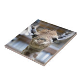 niedliche Babygiraffe Fliese (Seite)