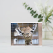 niedliche Babygiraffe Postkarte (Stehend Vorderseite)