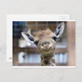 niedliche Babygiraffe Postkarte (Vorne/Hinten)