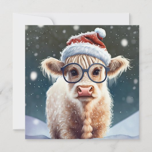 Niedliche Babyhochlandkuh im Schnee (Vorderseite)