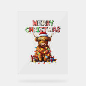 Niedliche Babyhochlandkuh mit Weihnachtslicht Acrylschild (Vorderseite)