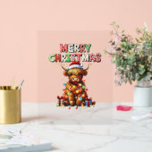 Niedliche Babyhochlandkuh mit Weihnachtslicht Acrylschild (Hochzeit)