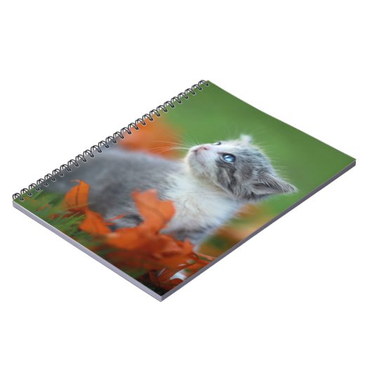 Niedliche Babykätzchen spielen draußen im Gras Notizblock (Linke Seite)