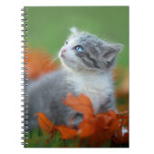 Niedliche Babykätzchen spielen draußen im Gras Notizblock (Vorderseite)
