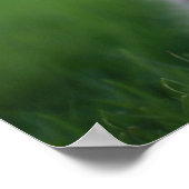 Niedliche Babykätzchen spielen draußen im Gras Poster (Ecke)